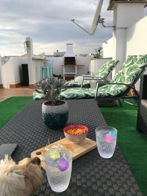 Apartment With Sunny Private Rooftop Terrace Vera