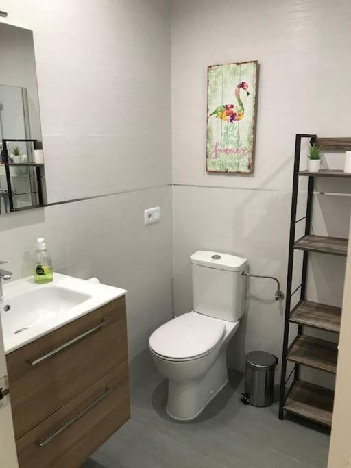 Apartamento With Sunny Private Rooftop Terrace Vera